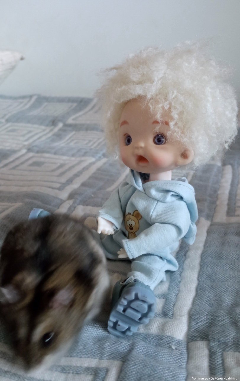 Кузёма в городе. Первое знакомство (фото 2)