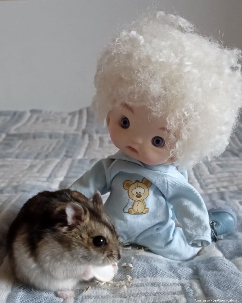 Кузёма в городе. Первое знакомство (фото 4)