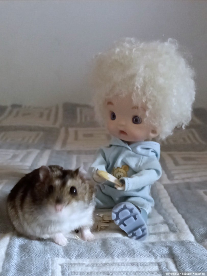 Кузёма в городе. Первое знакомство (фото 3)