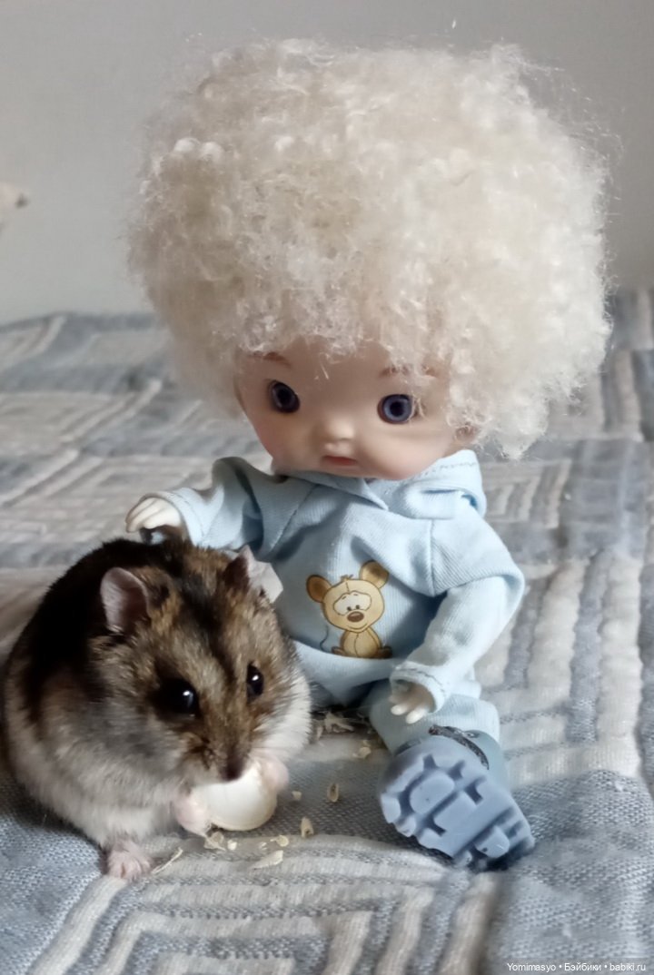 Кузёма в городе. Первое знакомство (фото 5)