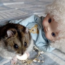 Кузёма в городе. Первое знакомство