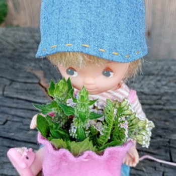 Кася-травница