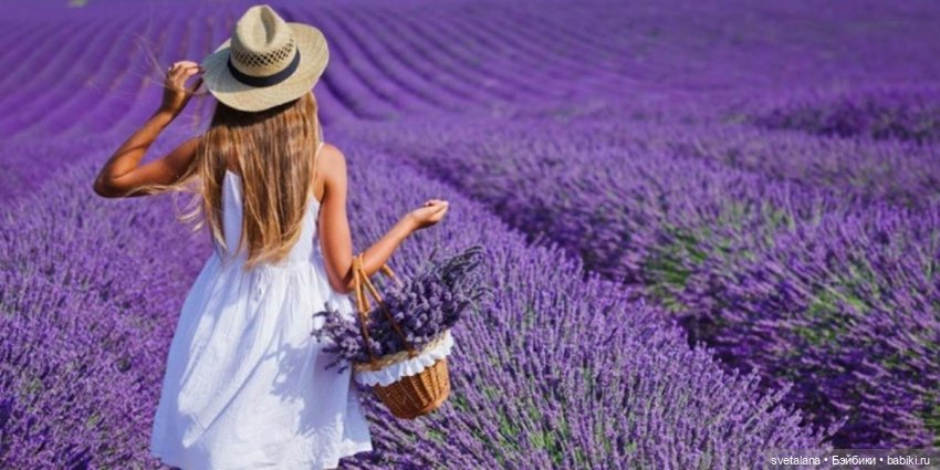 Лето... Лавандовое настроение... Лавандовые девочки Подружки (фото 2)