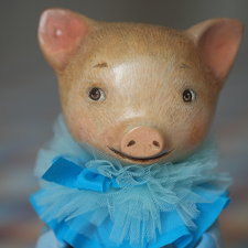 Какие свинки живут у меня