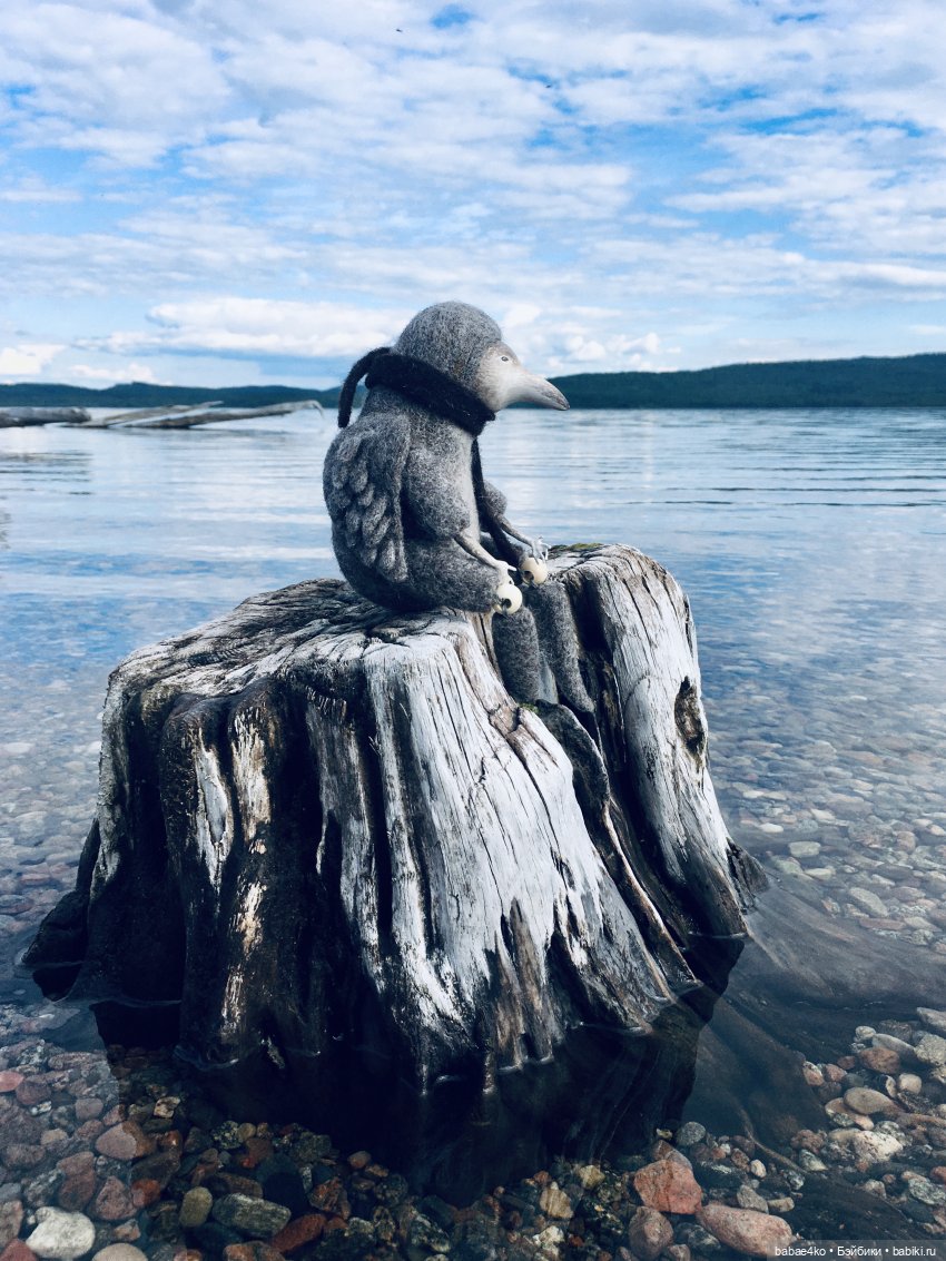 Северный странник Кутх | Бэйбики Северный странник Кутх — Домашние фото авторских игрушек: Тедди