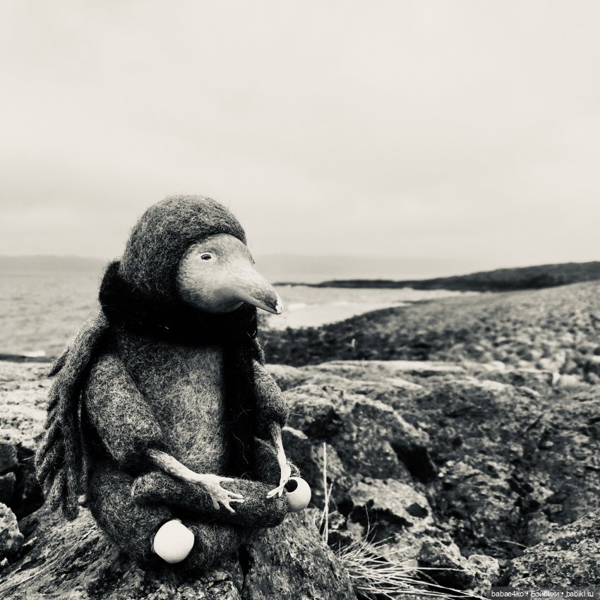 Северный странник Кутх | Бэйбики Северный странник Кутх — Домашние фото авторских игрушек: Тедди