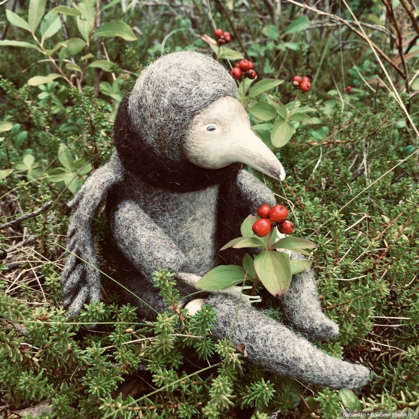 Северный странник Кутх | Бэйбики Северный странник Кутх — Домашние фото авторских игрушек: Тедди