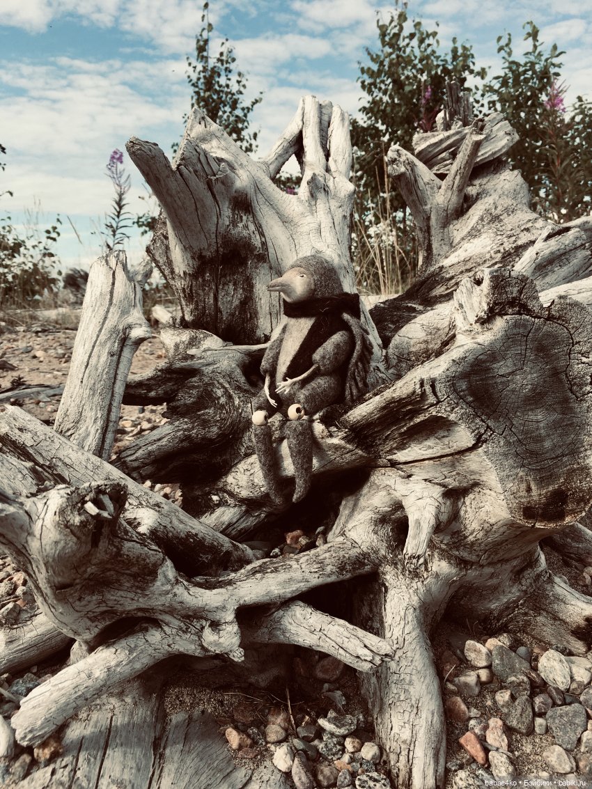 Северный странник Кутх | Бэйбики Северный странник Кутх — Домашние фото авторских игрушек: Тедди