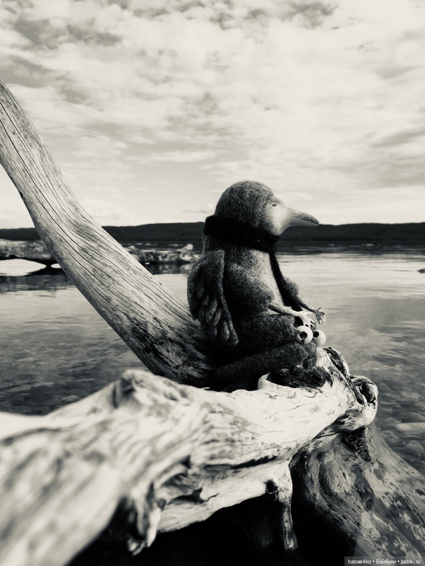 Северный странник Кутх | Бэйбики Северный странник Кутх — Домашние фото авторских игрушек: Тедди