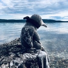 Северный странник Кутх