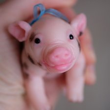 Поросеночек