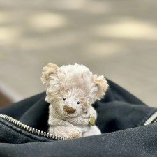 Медвежонок Бусик