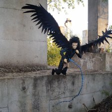 Dollshr Orijean Раух и его крылья