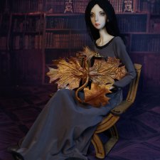 Леди и драконы