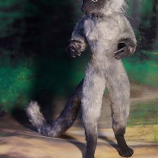 Сиамская кошечка антро