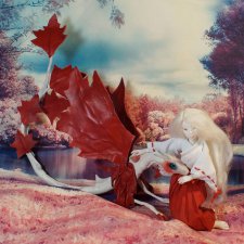 Страж Чардрева