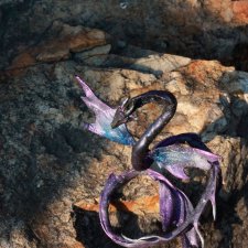 Космический дракончик