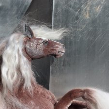 Еще конефото