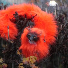 Огненный змеелис