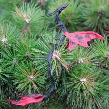 Дух Черных Маков