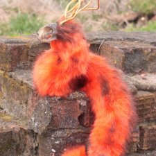 Рыжий Змеехранитель