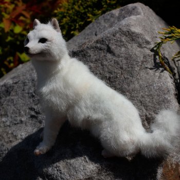 белый и пушистый