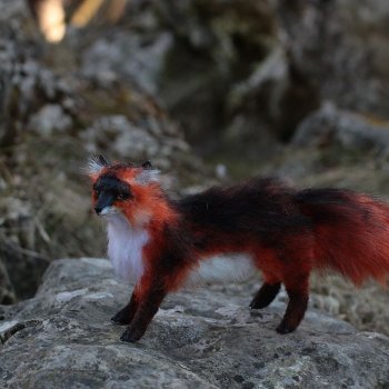 лисы рыжий и черно серебристый