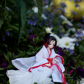 любуемся цветами