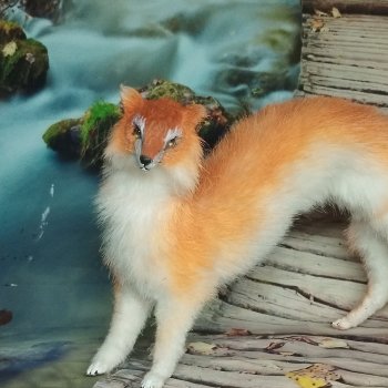 Лисодракон