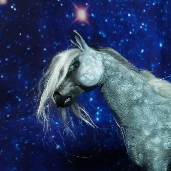 Серый в яблоках