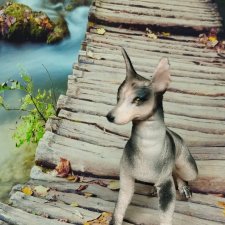 Ксоло, мексиканская лысая собака масштаба 1 к6