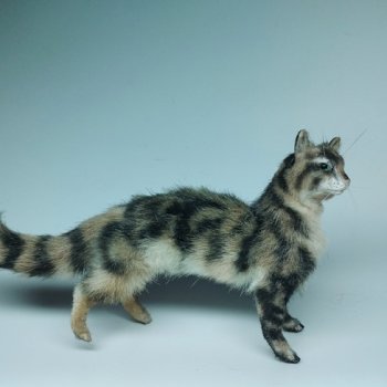 усатый полосатый