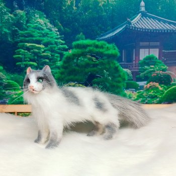 Серый котик 1 к6