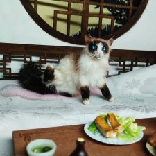 Котик сиамский 1к6