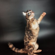Бенгальский кот в масштабе 1 к3