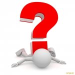 А как бы вы поступили?