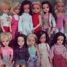 Мои Sindy Pedigree