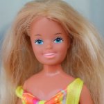 Tropical Skipper 1985