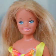 Tropical Skipper 1985