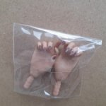 Кисти скинтон хунгариан  от Райны