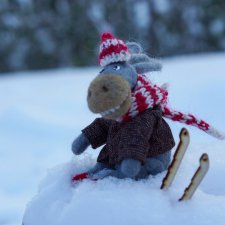 Осёл, который знает толк в выходных