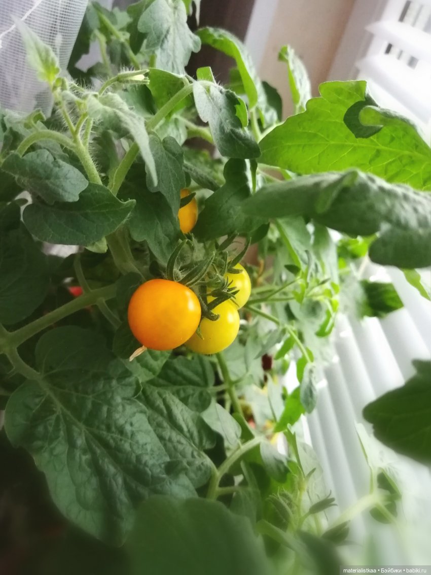 Тропическая рыбка — ООАК и репейнт кукол (Custom): Barbie (фото 8)