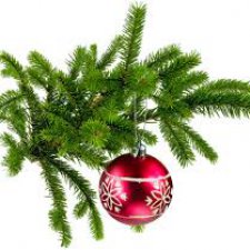 С Новым Годом!! С Новым Счастьем!!