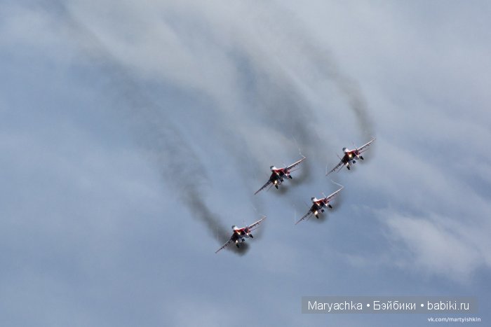 Стрижи в Барнауле