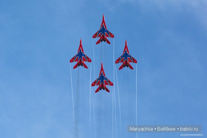 Стрижи в Барнауле