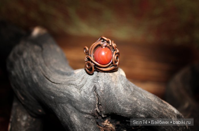 Моя медь (продолжение) — Другие хобби и увлечения: сад (фото 2)