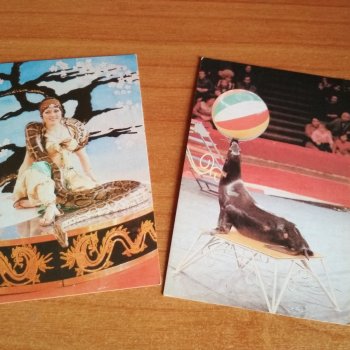 Мои карманные календарики Советский цирк из детства 4 часть