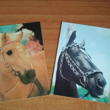 Мои карманные календарики Советский цирк из детства 7 часть