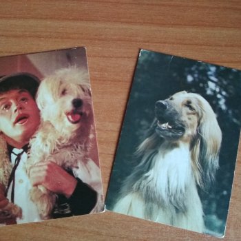 Мои карманные календарики Советский цирк из детства 8 часть