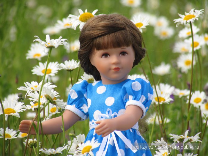 Я дарю всем влюбленным на свете РОМАШКОВЫЕ поля (фото 7)